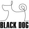 Black dog